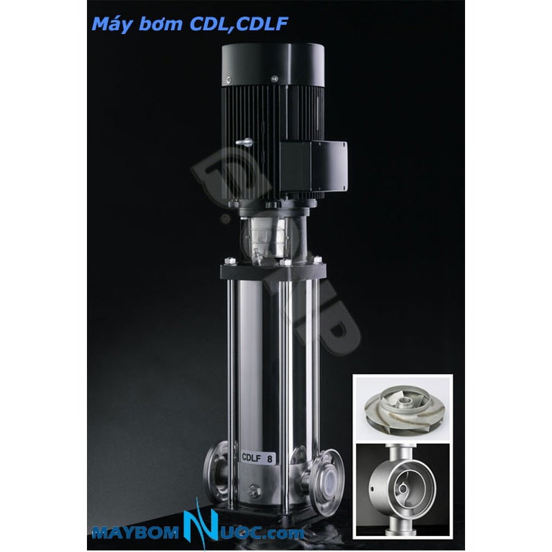 Máy bơm ly tâm trục đứng đa tầng cánh CNP CDLF4-14 4HP 1 Máy bơm ly tâm trục đứng đa tầng cánh CNP CDLF4-14 4HP