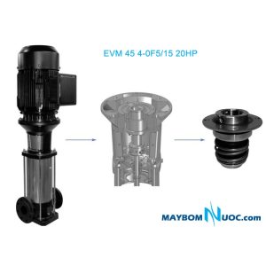 Máy bơm ly tâm trục đứng EVM 10 15F5/5.5 7.5HP