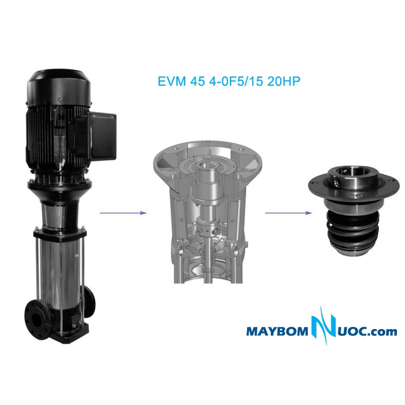 Máy bơm ly tâm trục đứng EVM 18 12F5/11 15HP 3 Máy bơm ly tâm trục đứng EVM 18 12F5/11 15HP