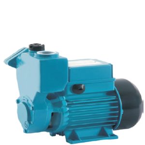 Máy bơm nước đẩy cao Lepono APSM37 (mã cũ XKSM 60-1)