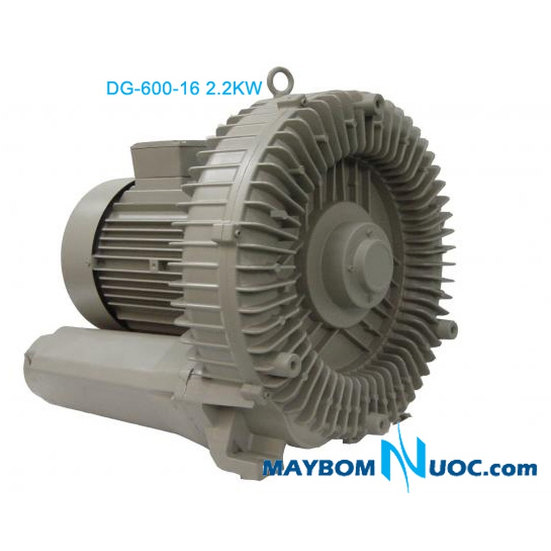 Máy thổi khí con sò Dargang DG-600-16 2.2KW 1 Máy thổi khí con sò Dargang DG-600-16 2.2KW