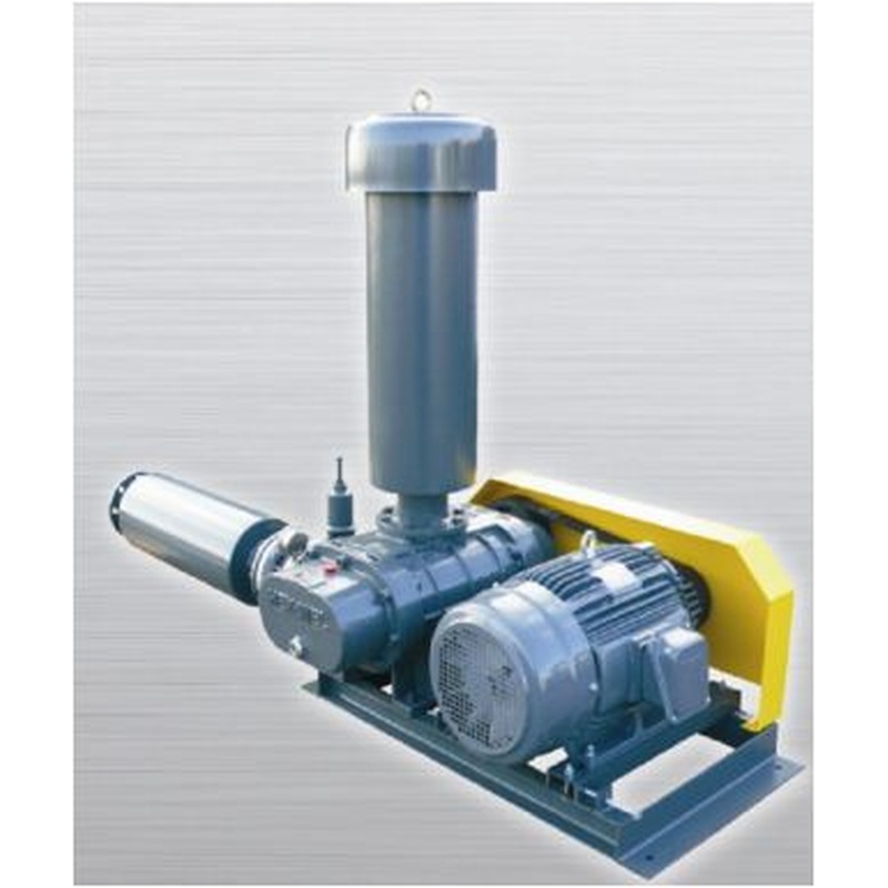 Máy thổi khí Heywel RSS-65 7.5HP 1 Máy thổi khí Heywel RSS-65 7.5HP